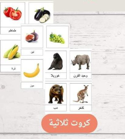 الكروت الثلاثية (الفاكهة-الخضروات والحيوانات)